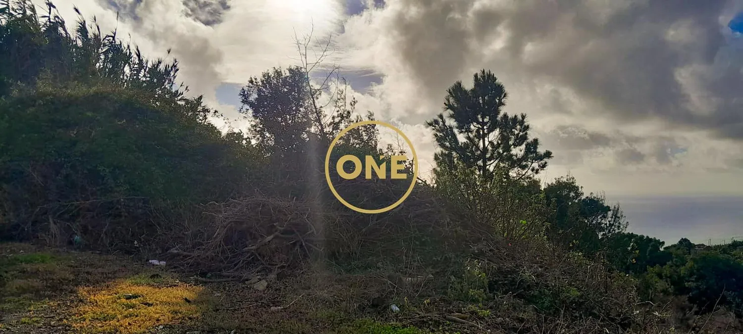Land with 3707 m² - 3