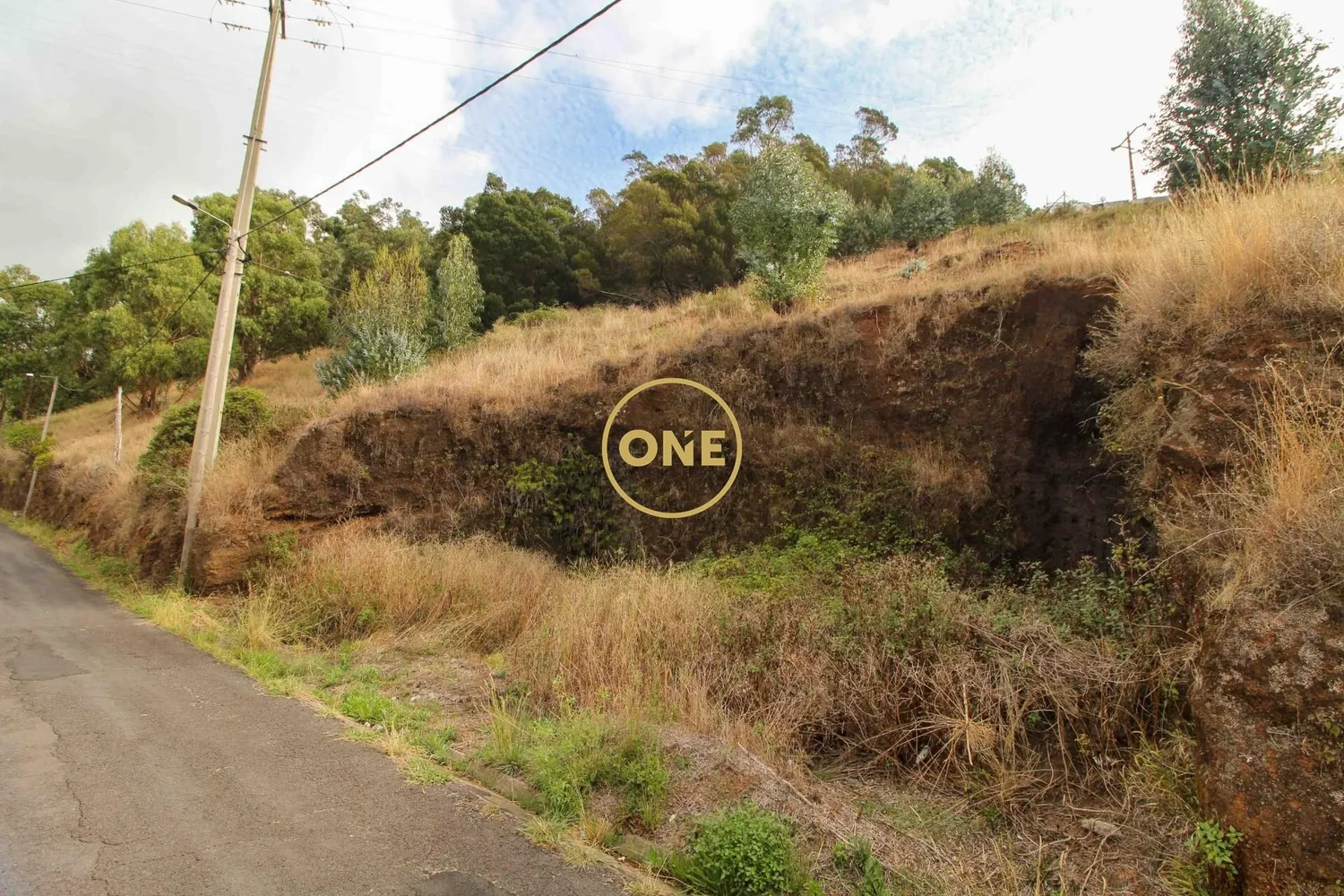 Terreno com 4299 m²