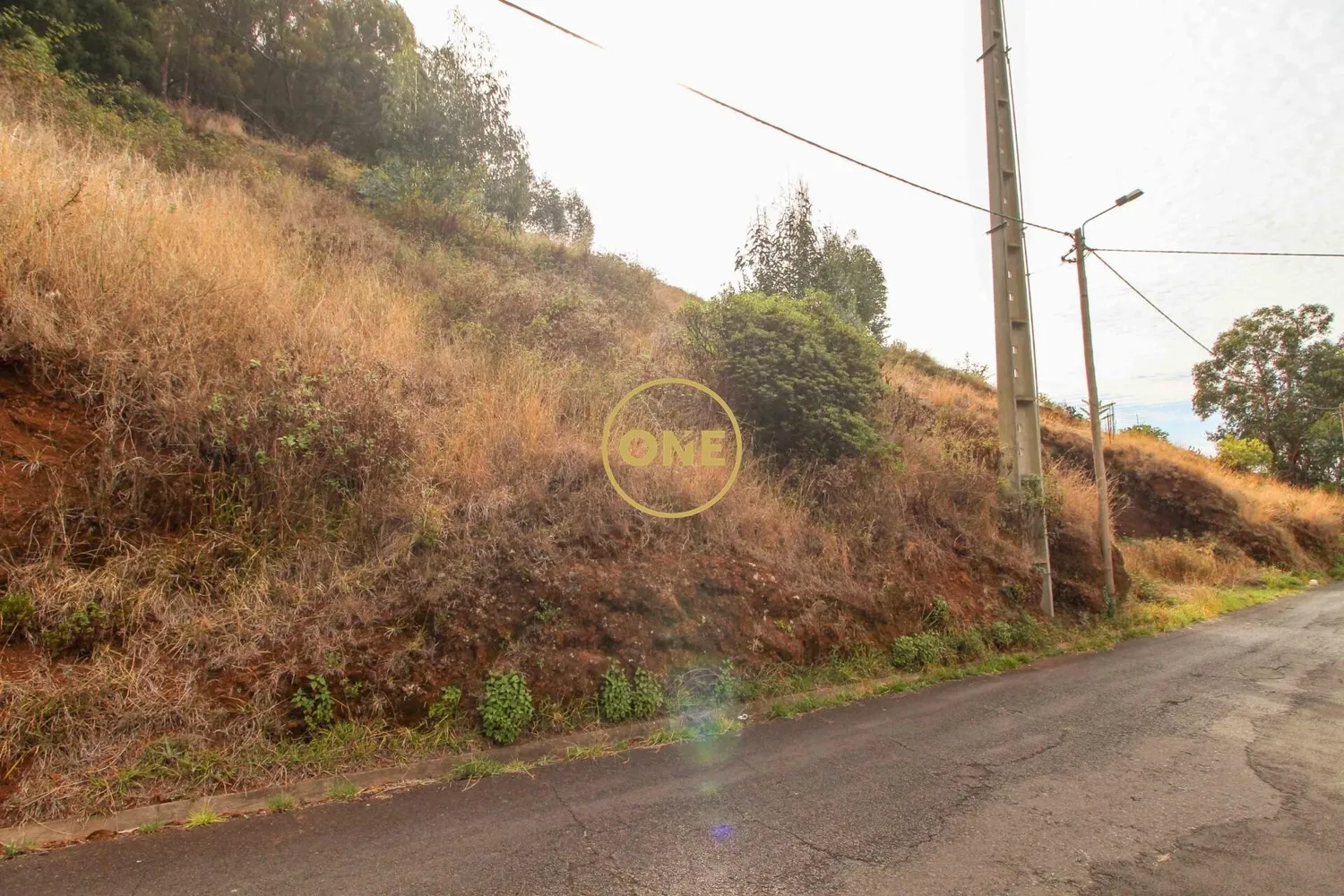 Terreno com 4299 m² - 2