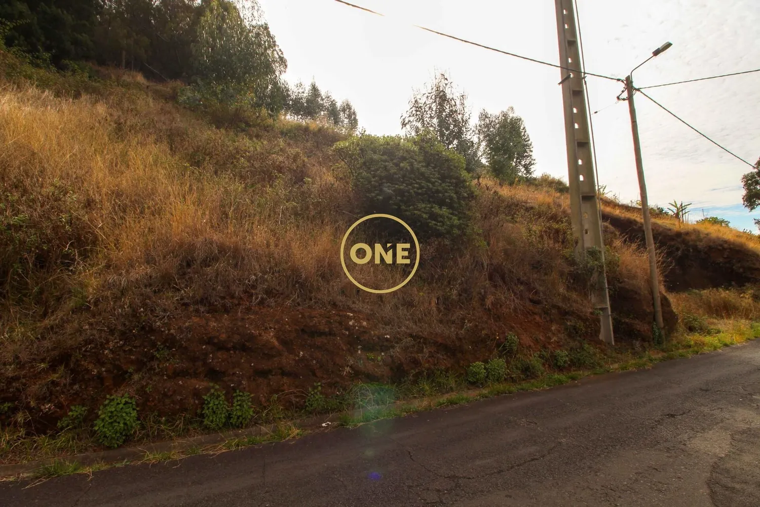 Terreno com 4299 m² - 3