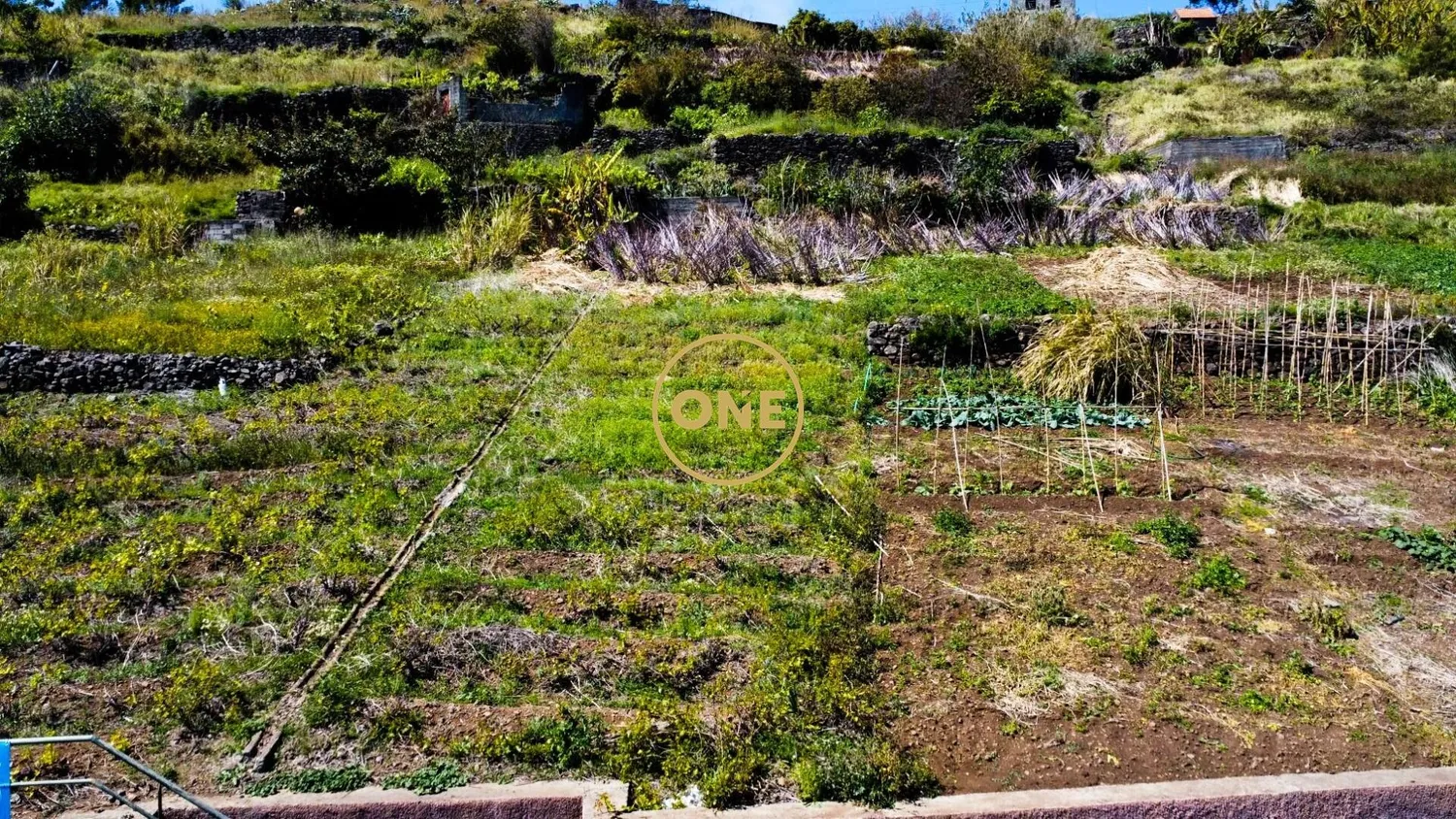 Terreno - 3