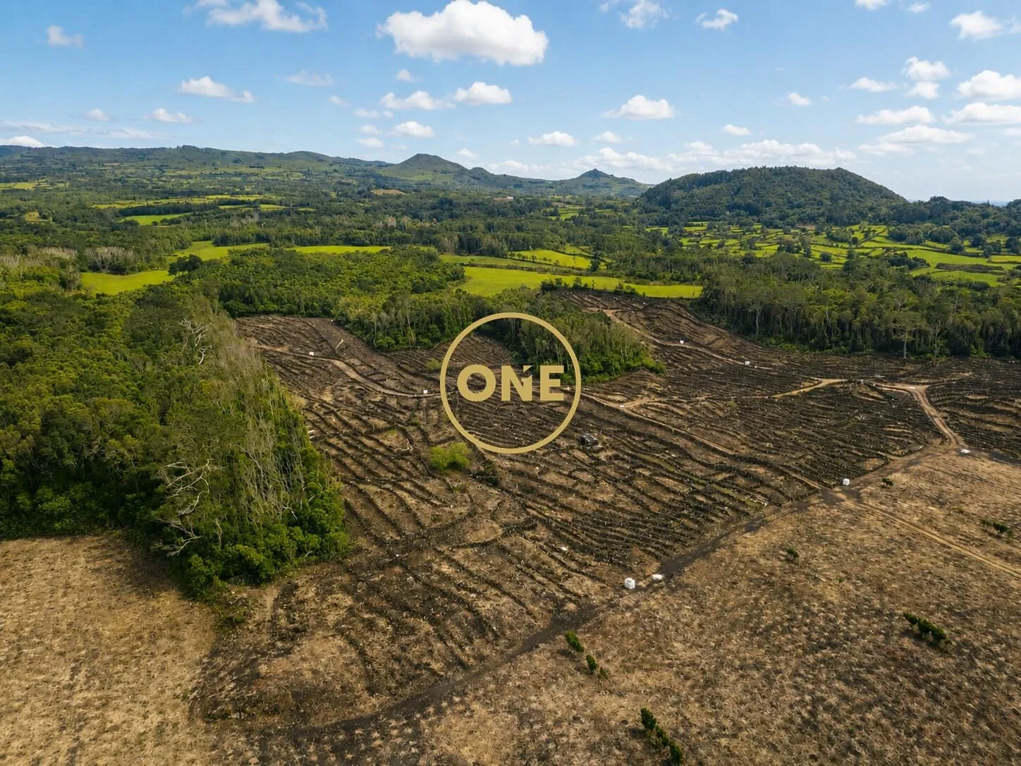 Terreno com Vinha à Venda na Ilha do Pico - 2