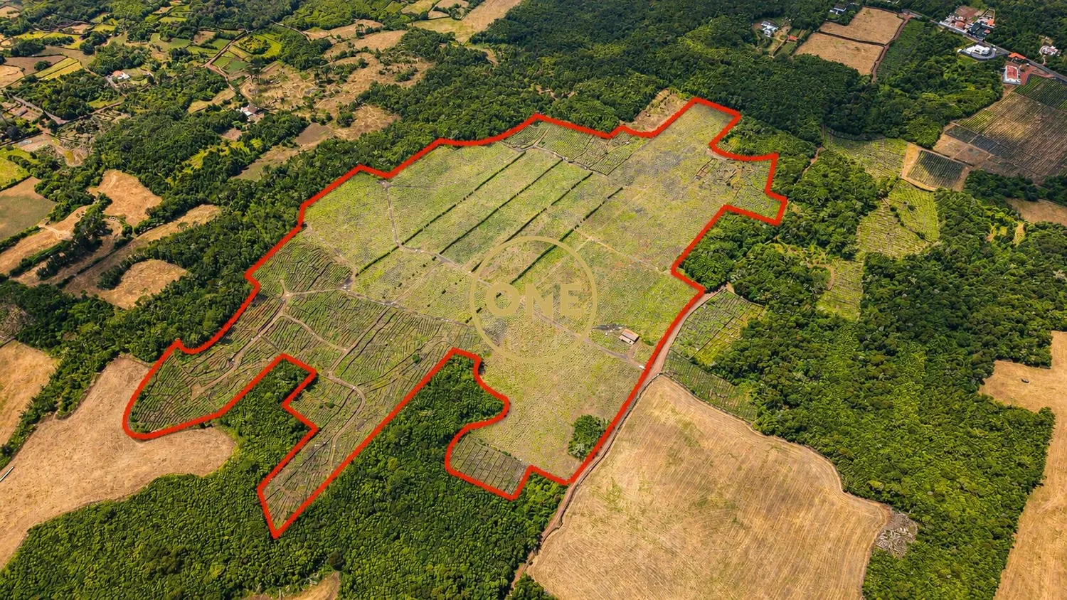 Terrain avec vignoble à vendre sur l'île de Pico