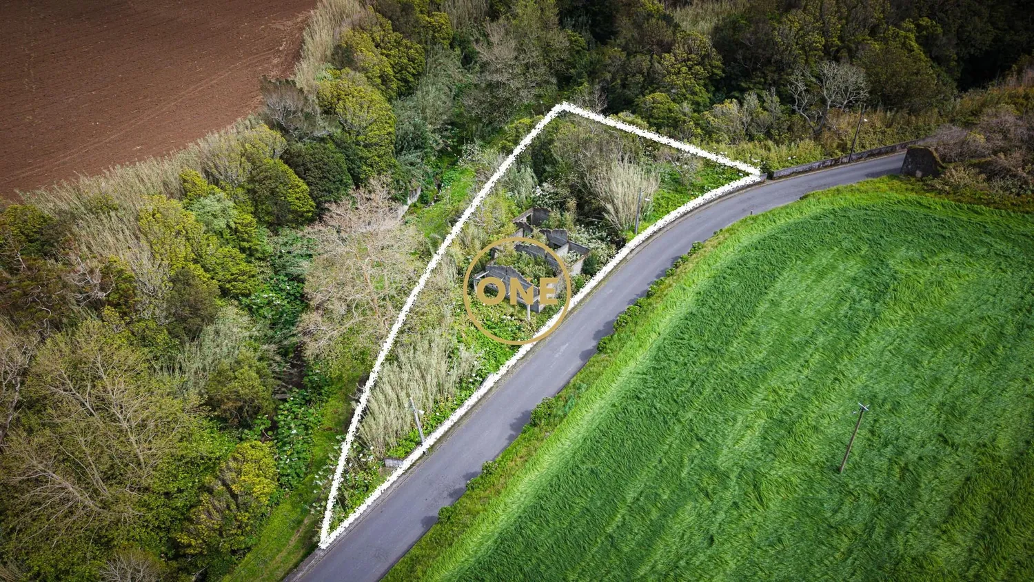 Land with ruins in João Bom, São Miguel - 3