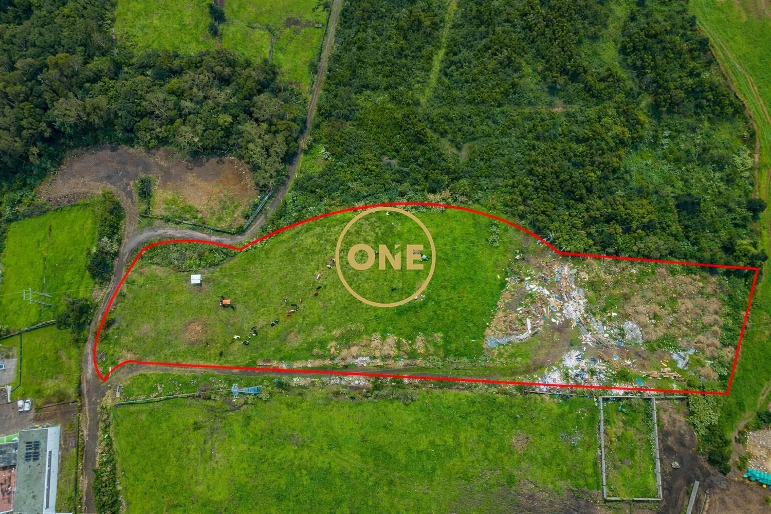 Excellent building plot of 14,700 m² in Fajã de Cima – São Miguel - 3