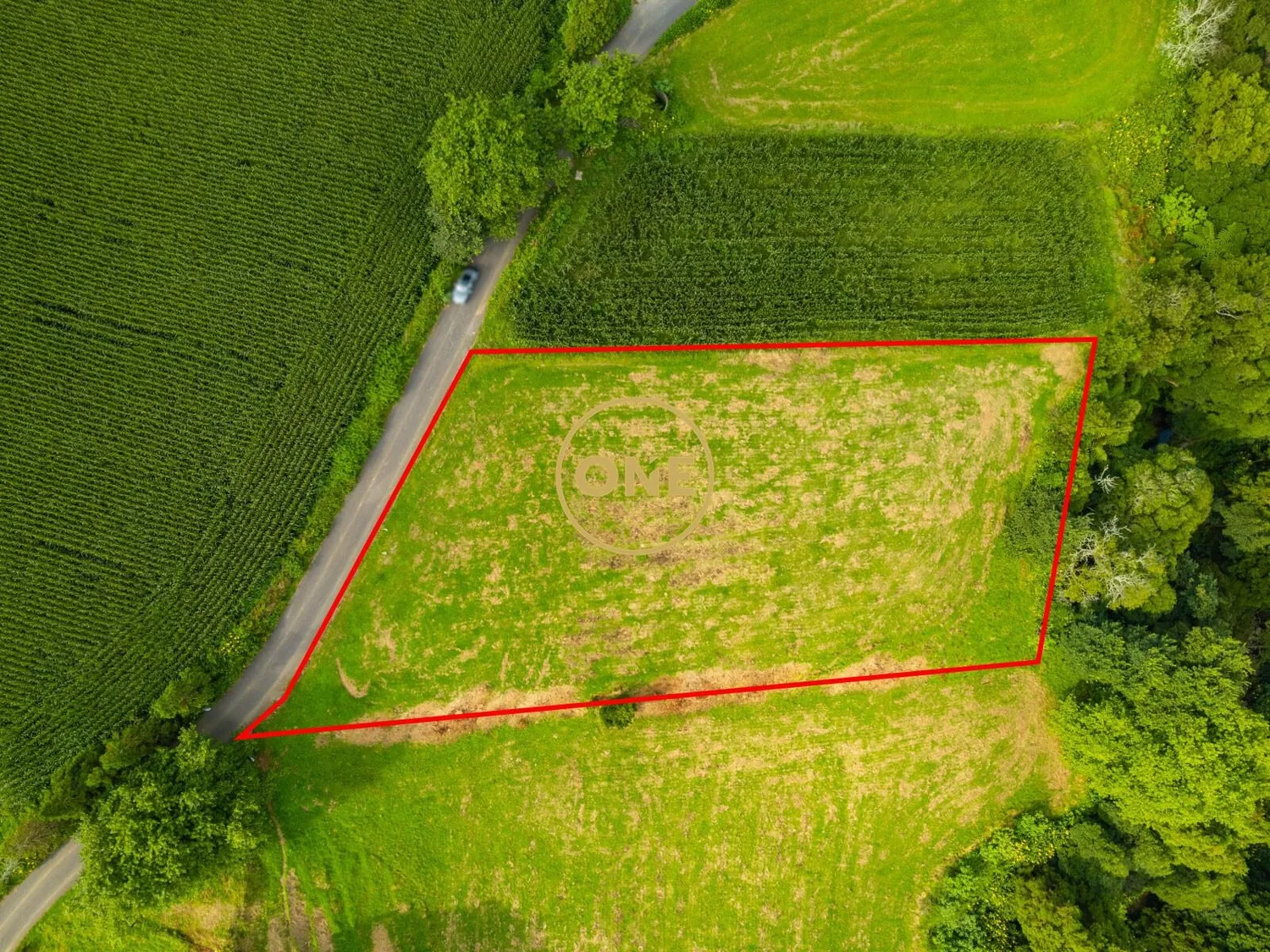 🌱 Terreno Agrícola – Maia | Ribeira Grande | Ilha de São Miguel - 2