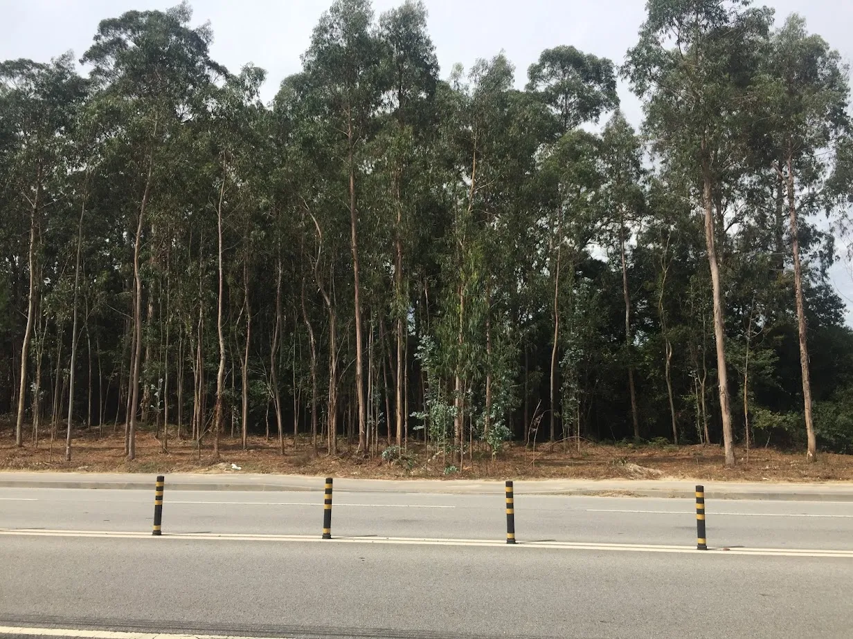 Terreno p/ arrendamento - Via Diagonal - Excelente Localização