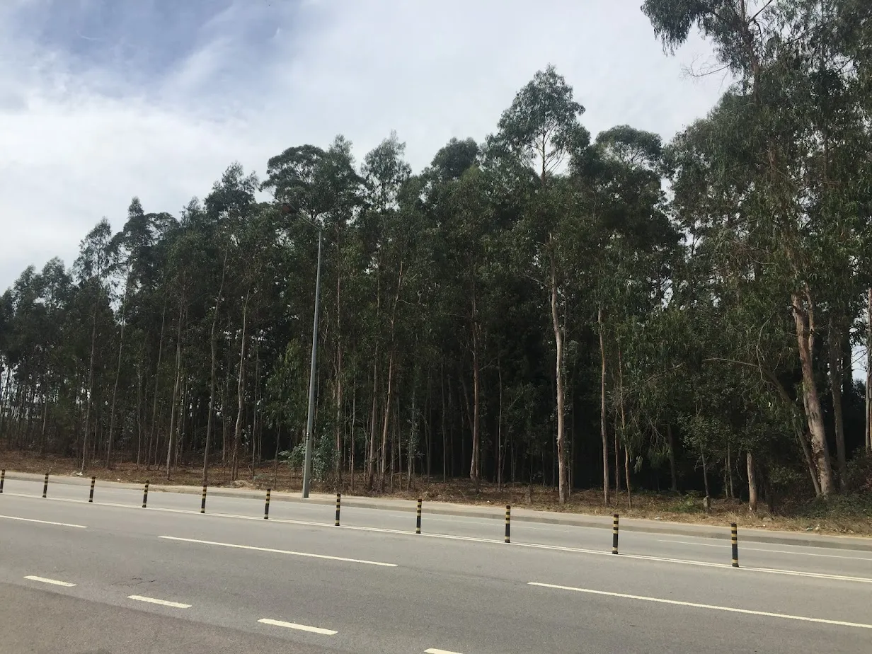 Terreno p/ arrendamento - Via Diagonal - Excelente Localização - 2