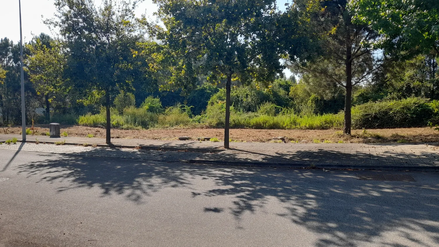 Lote de Terreno para construção de moradia de CV+RC+1 - Folgosa - 3