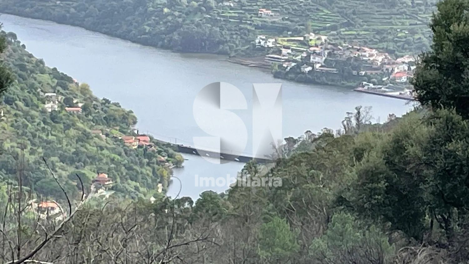 Terreno com PIP aprovado e vista Douro | 19.376 m² | Baião
