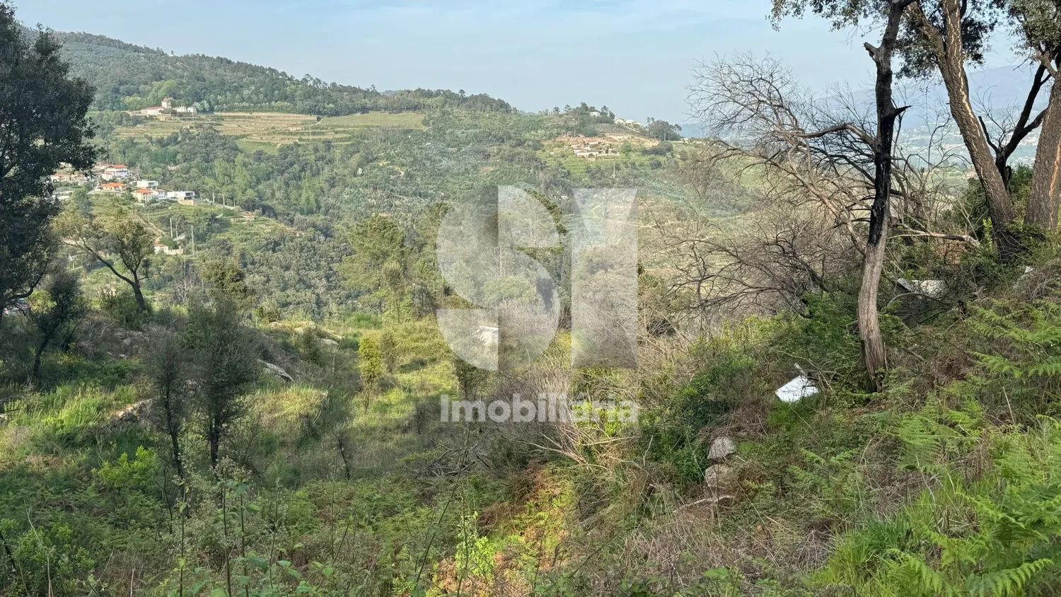 Terreno com PIP aprovado e vista Douro | 19.376 m² | Baião - 2