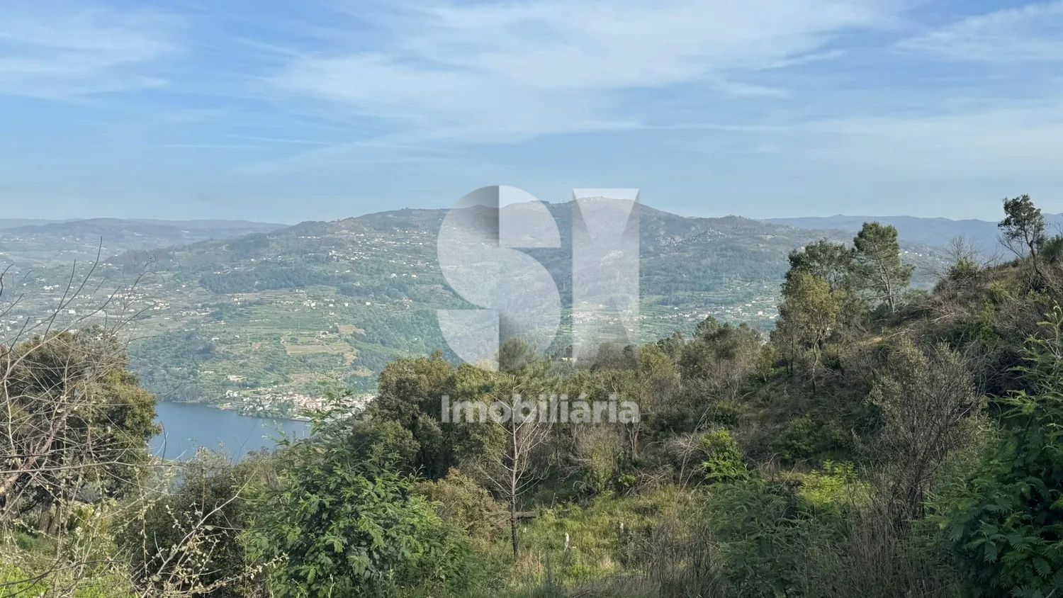 Terreno com PIP aprovado e vista Douro | 19.376 m² | Baião - 3