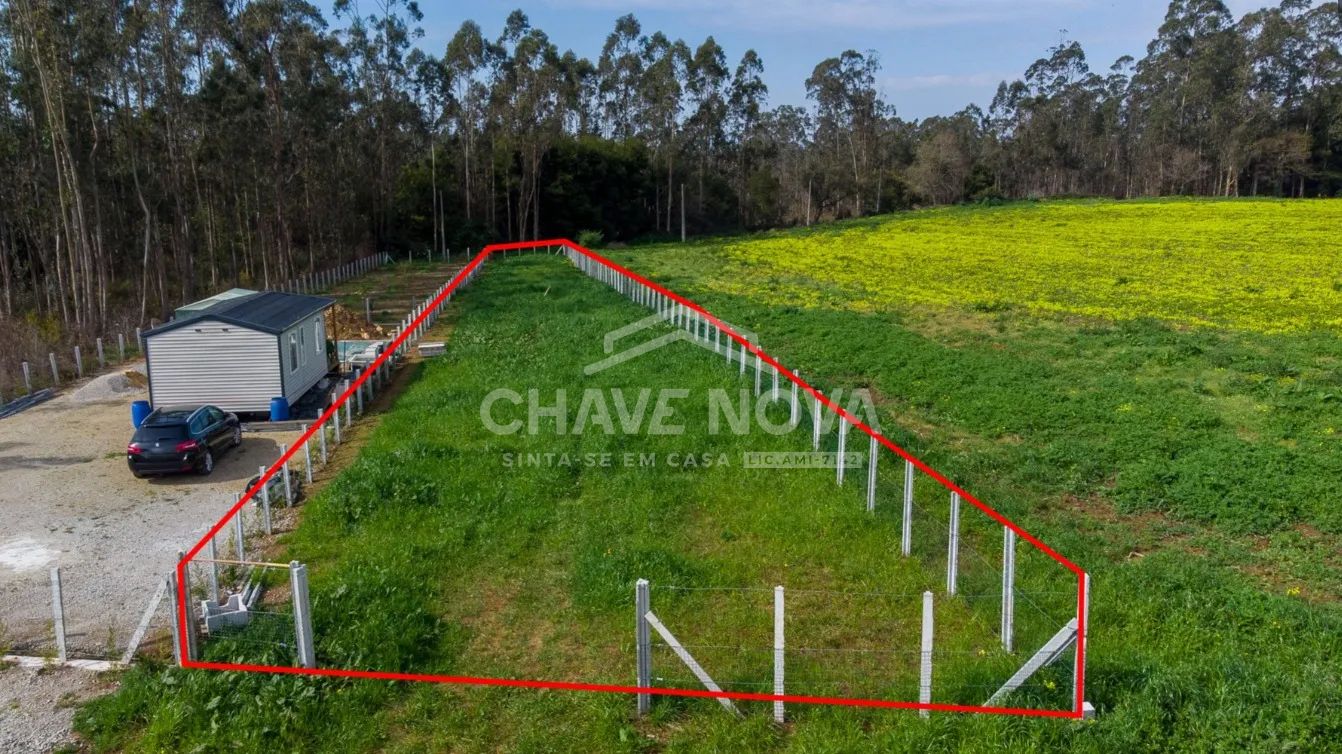 Terreno rústico situado em Ovar, destinado a cultivo agrícola. - 2