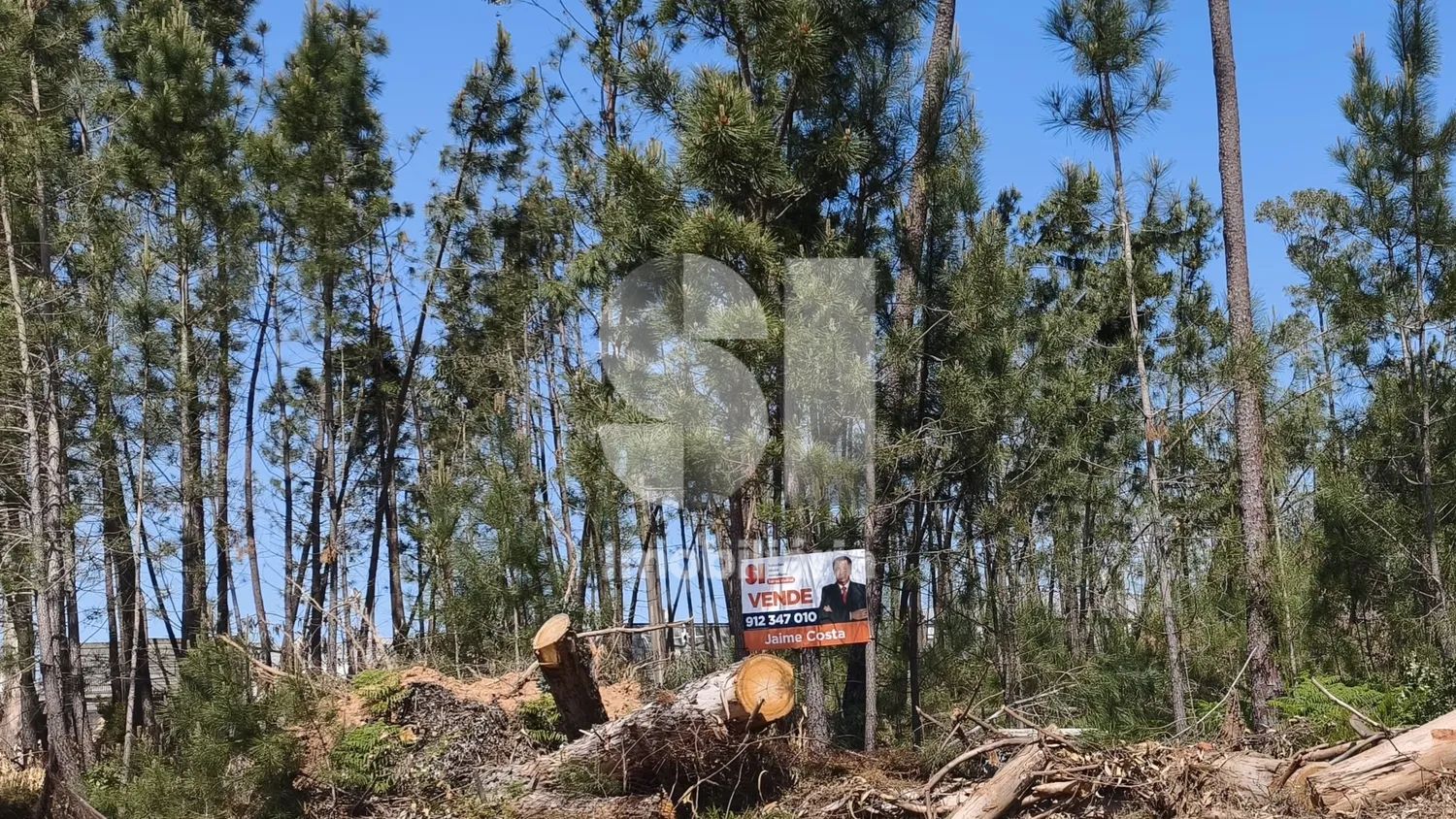 Terreno com acesso direto à EN356