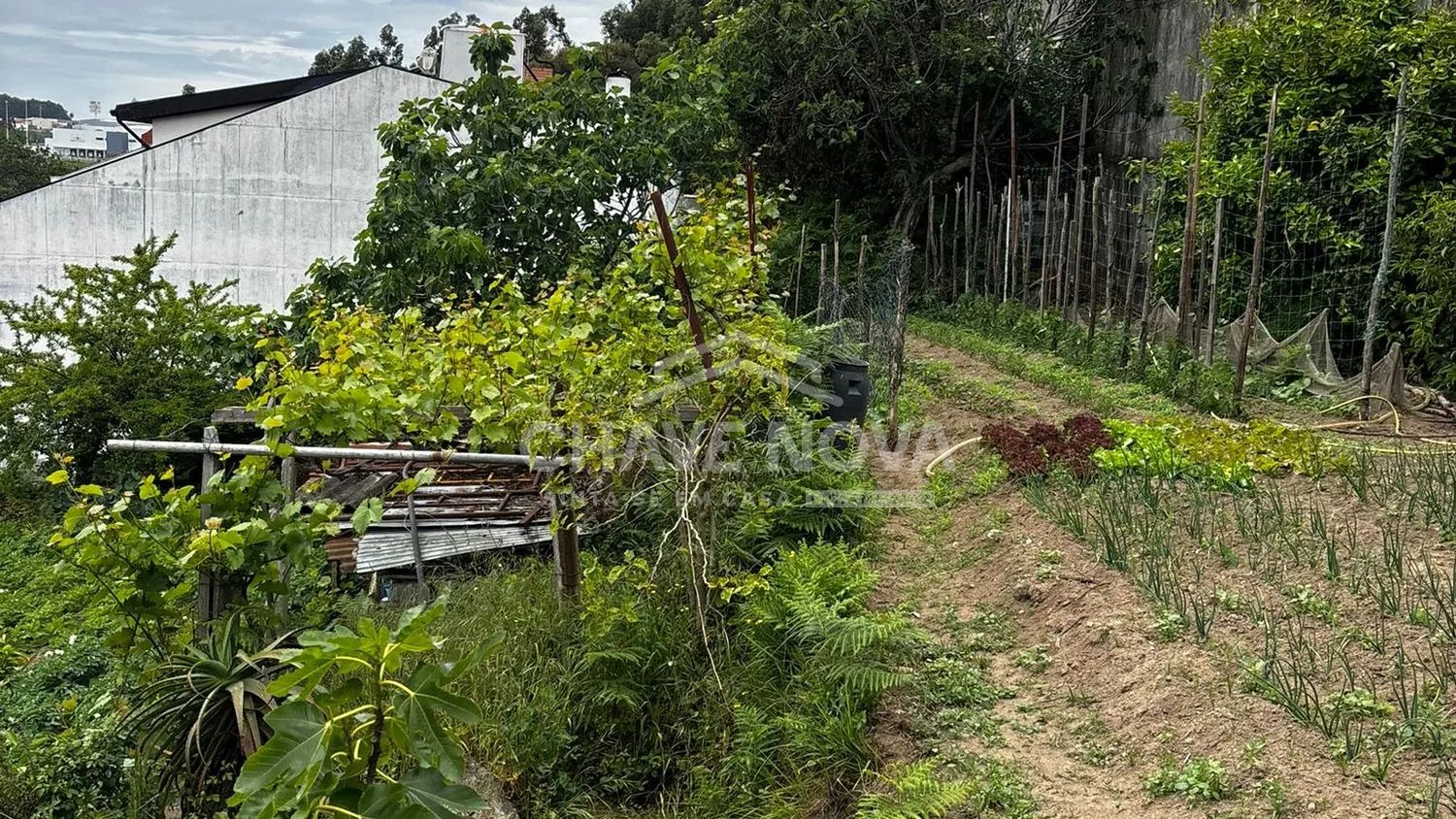 Terreno à venda em Matosinhos - 2
