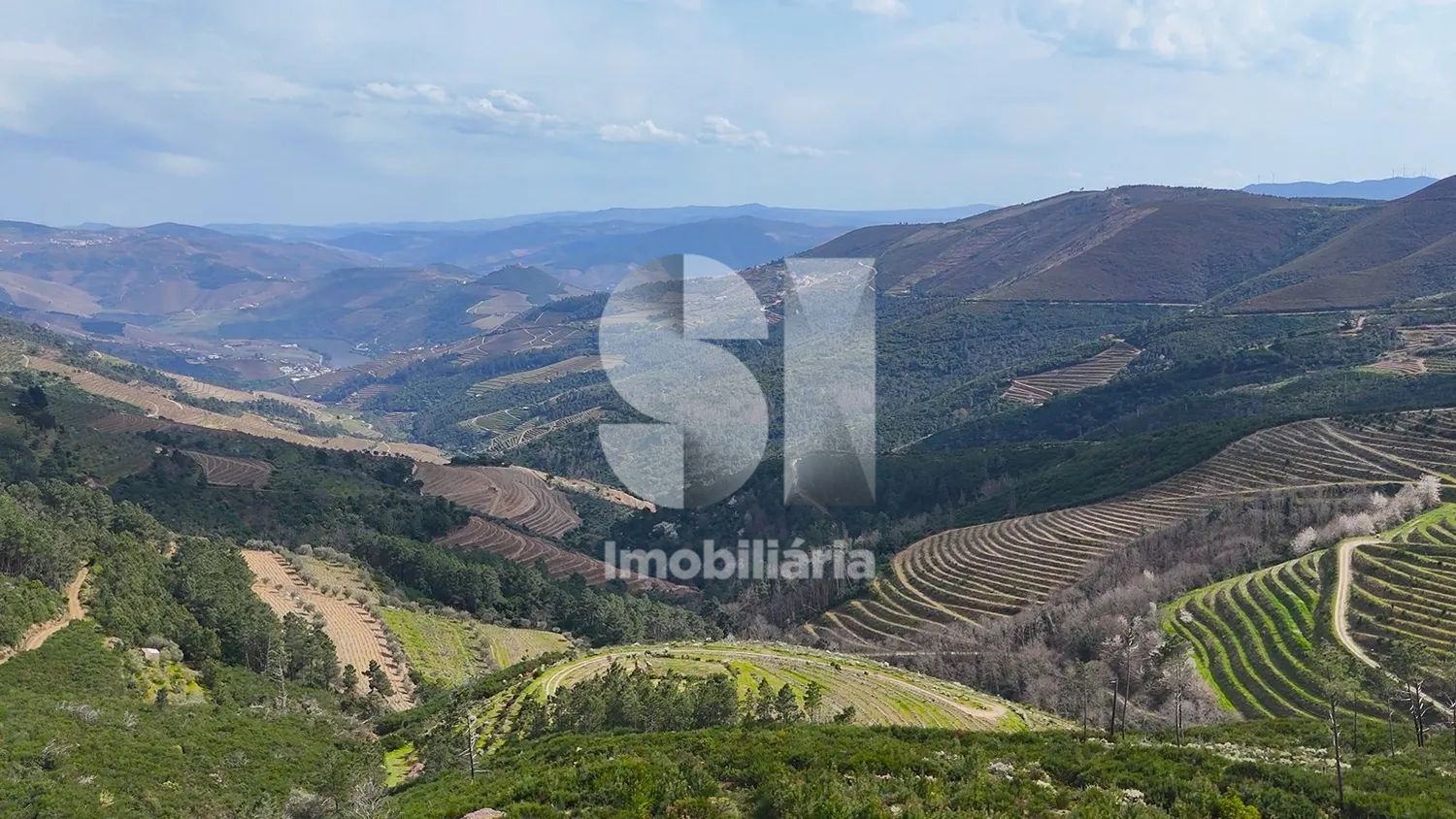 Propriedade Premium no Douro