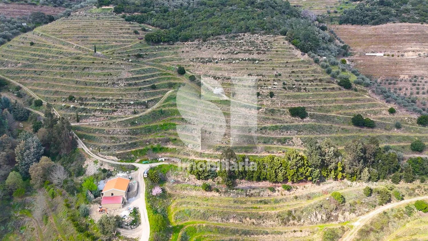 Propriedade Premium no Douro - 2