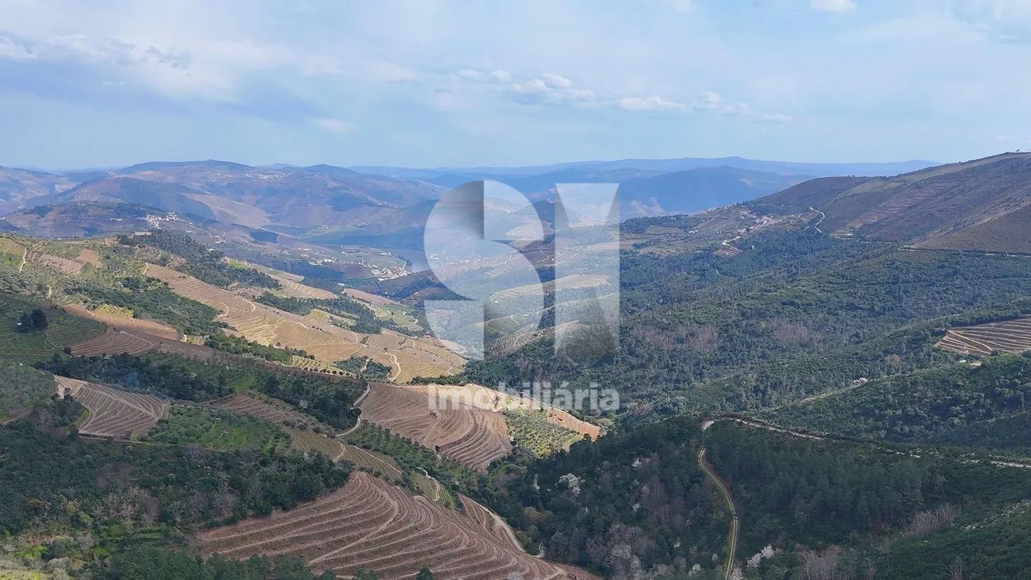 Propriedade Premium no Douro - 3