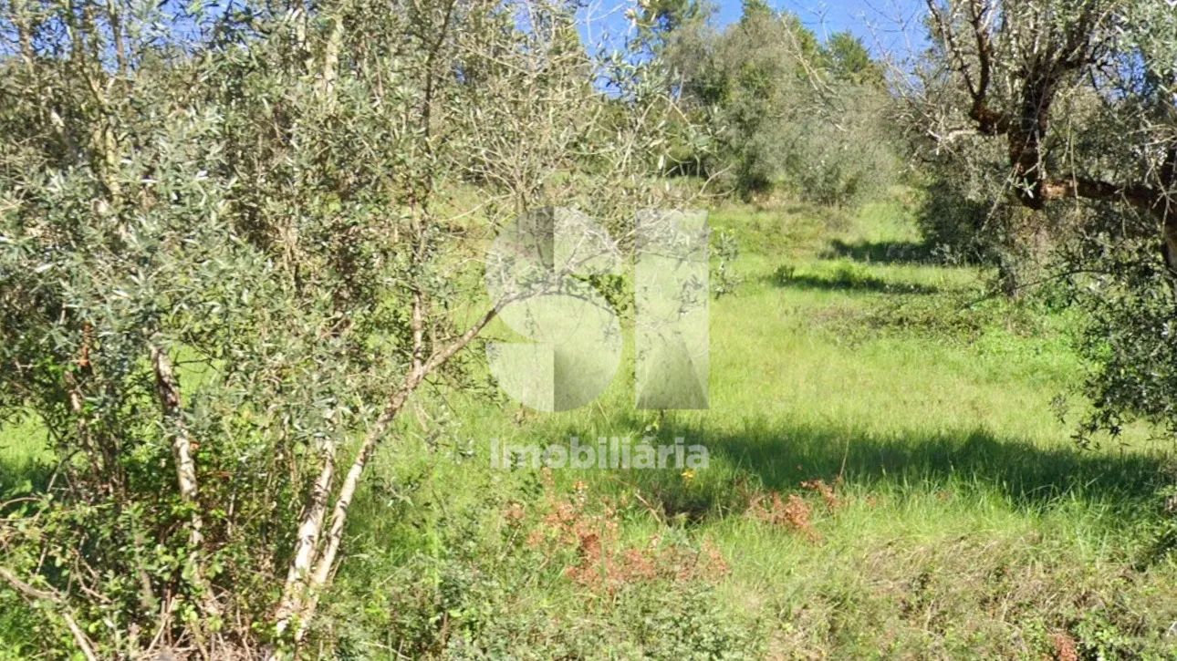 Terreno em Coimbra - 3