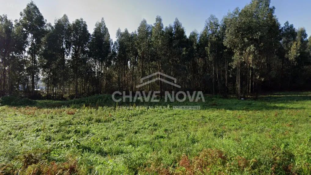 Excelente Terreno em Baguim do Monte