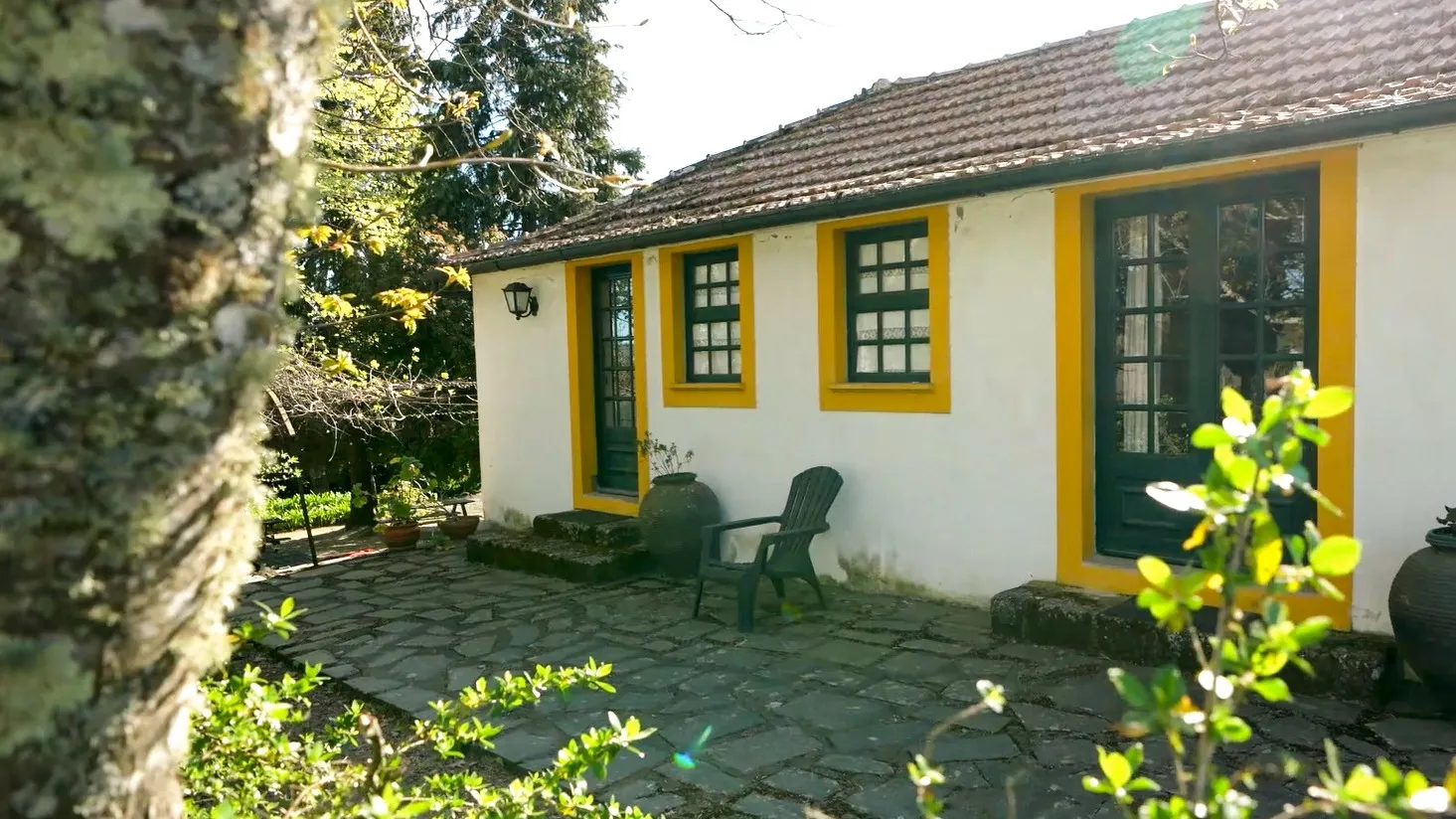 Quinta Brasonada Histórica no Coração do Douro Valley - 2