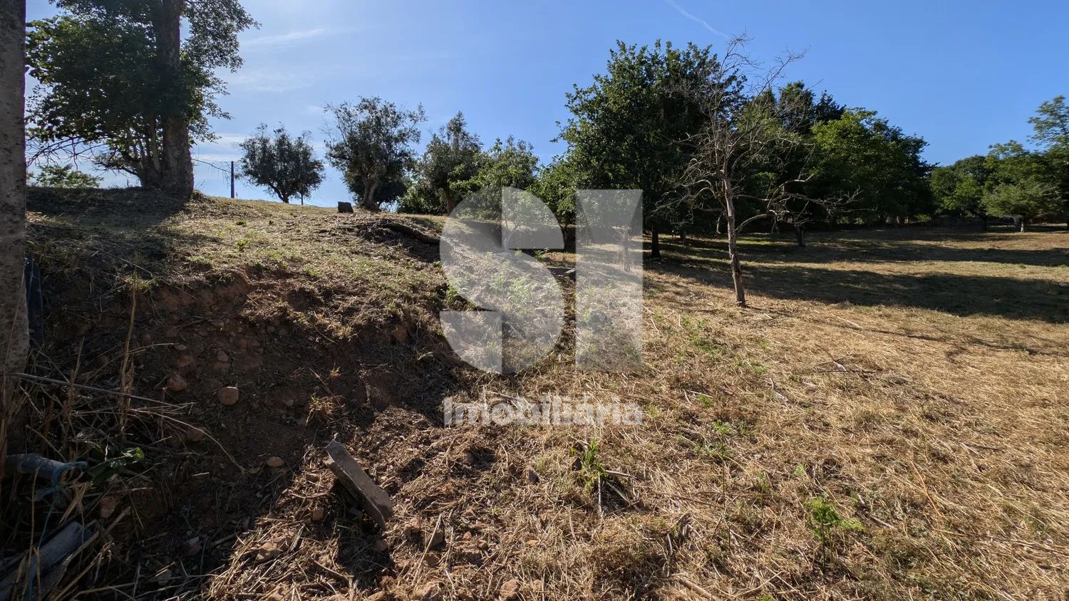 Terreno a ser transformado em Quinta - 3