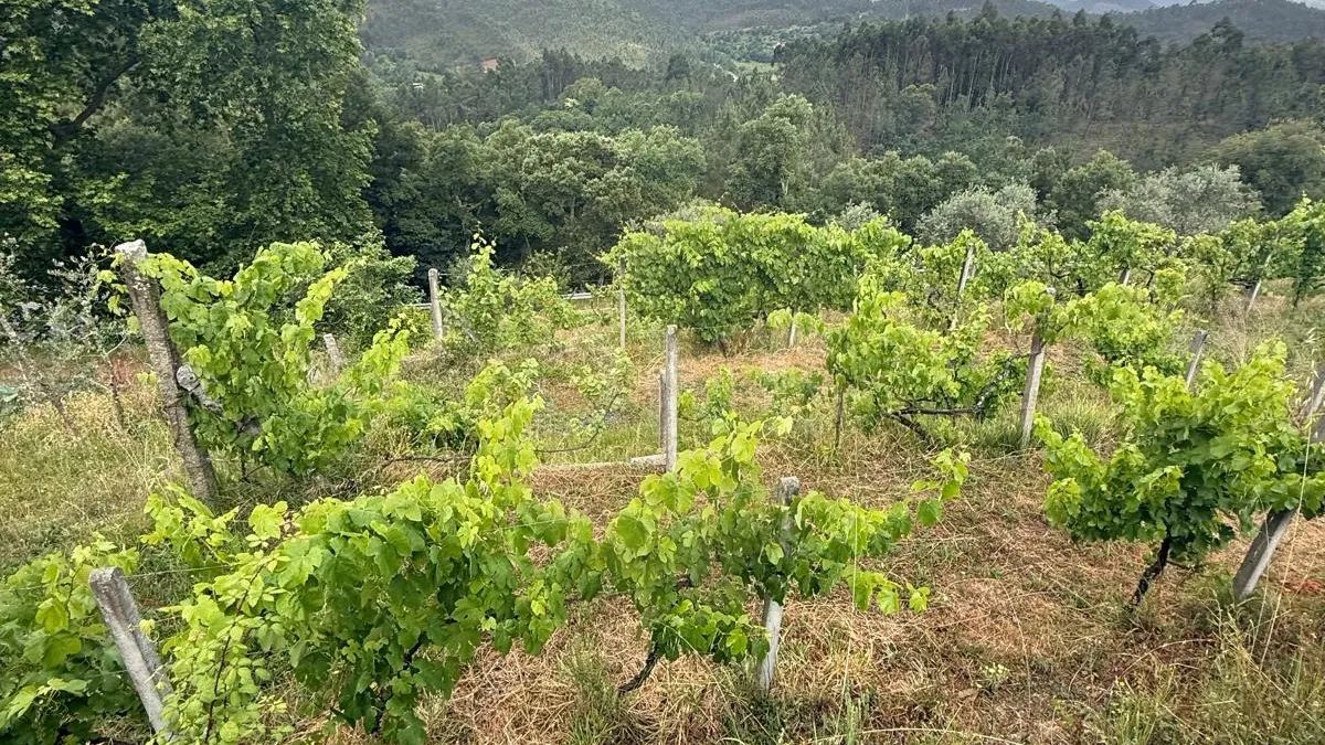 2 Moradias à venda em Castelo de Paiva 