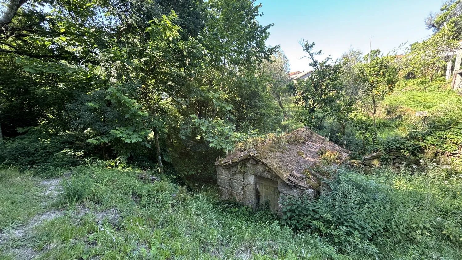 Moinho Exclusivo em Seramil – Junto à Aldeia Histórica do Urjal - 2