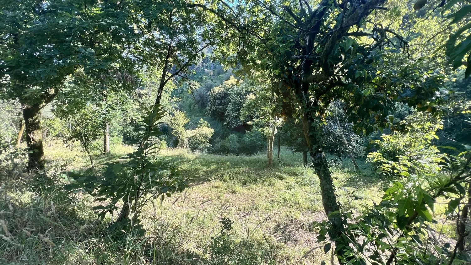 Terreno Rustico em Seramil - 2