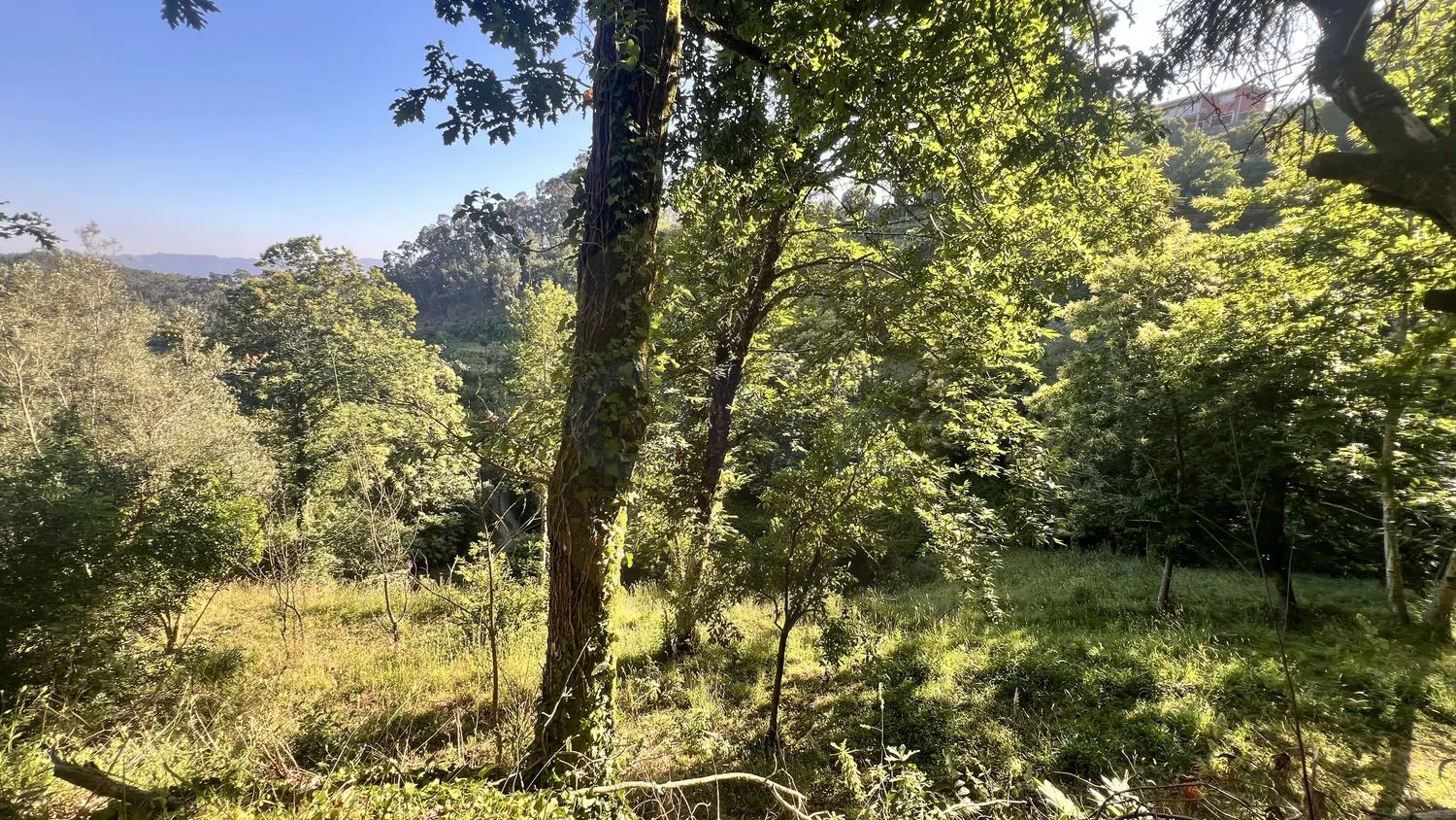 Terreno Rustico em Seramil - 3