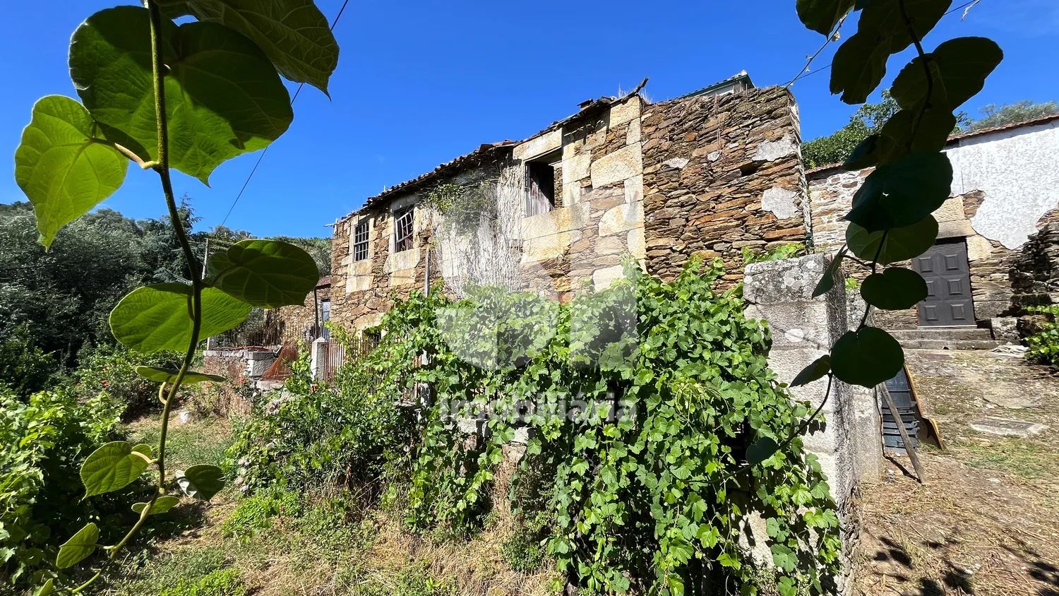 Ruin Property with Agricultural - 2