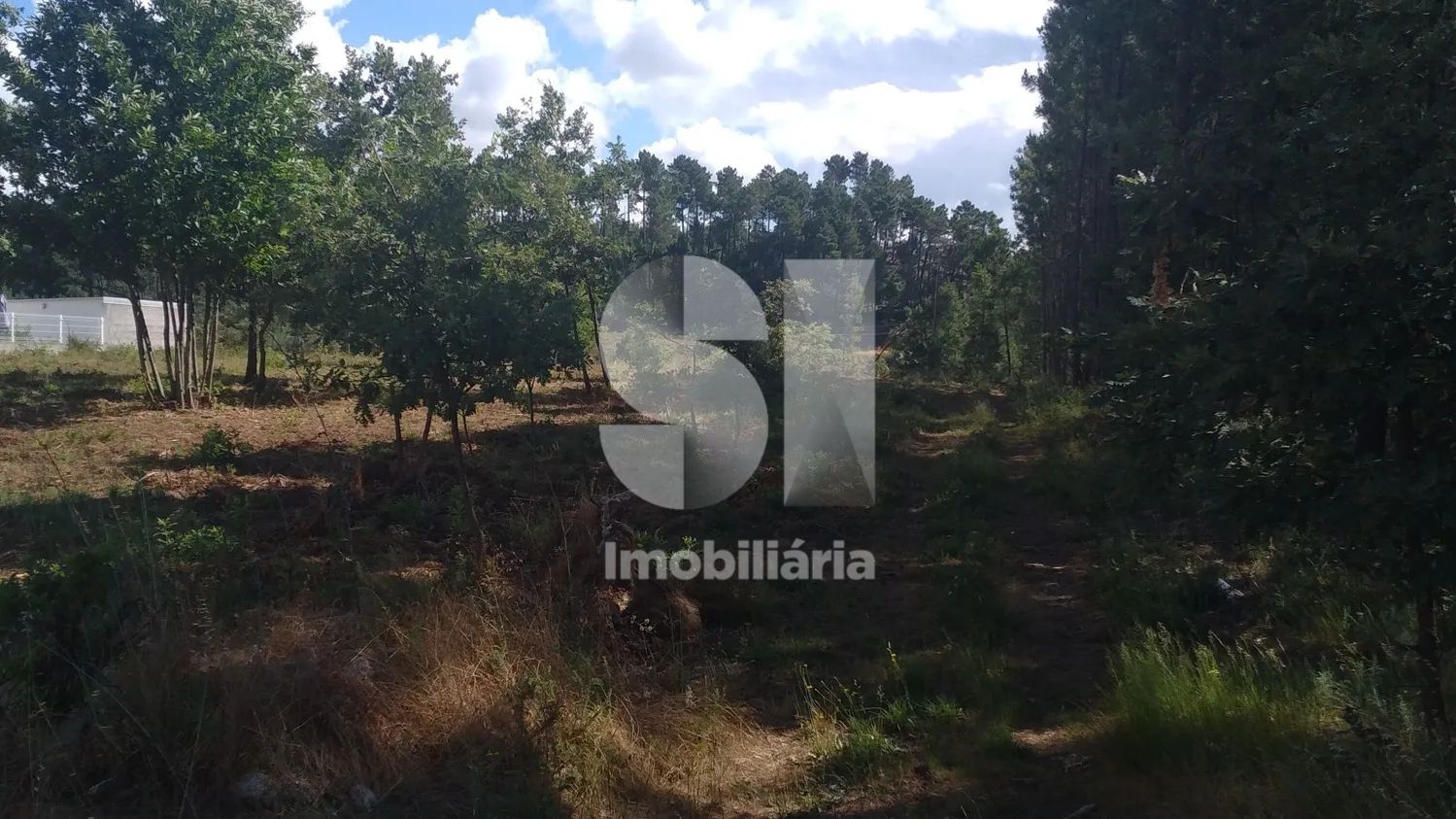 Lote para venda