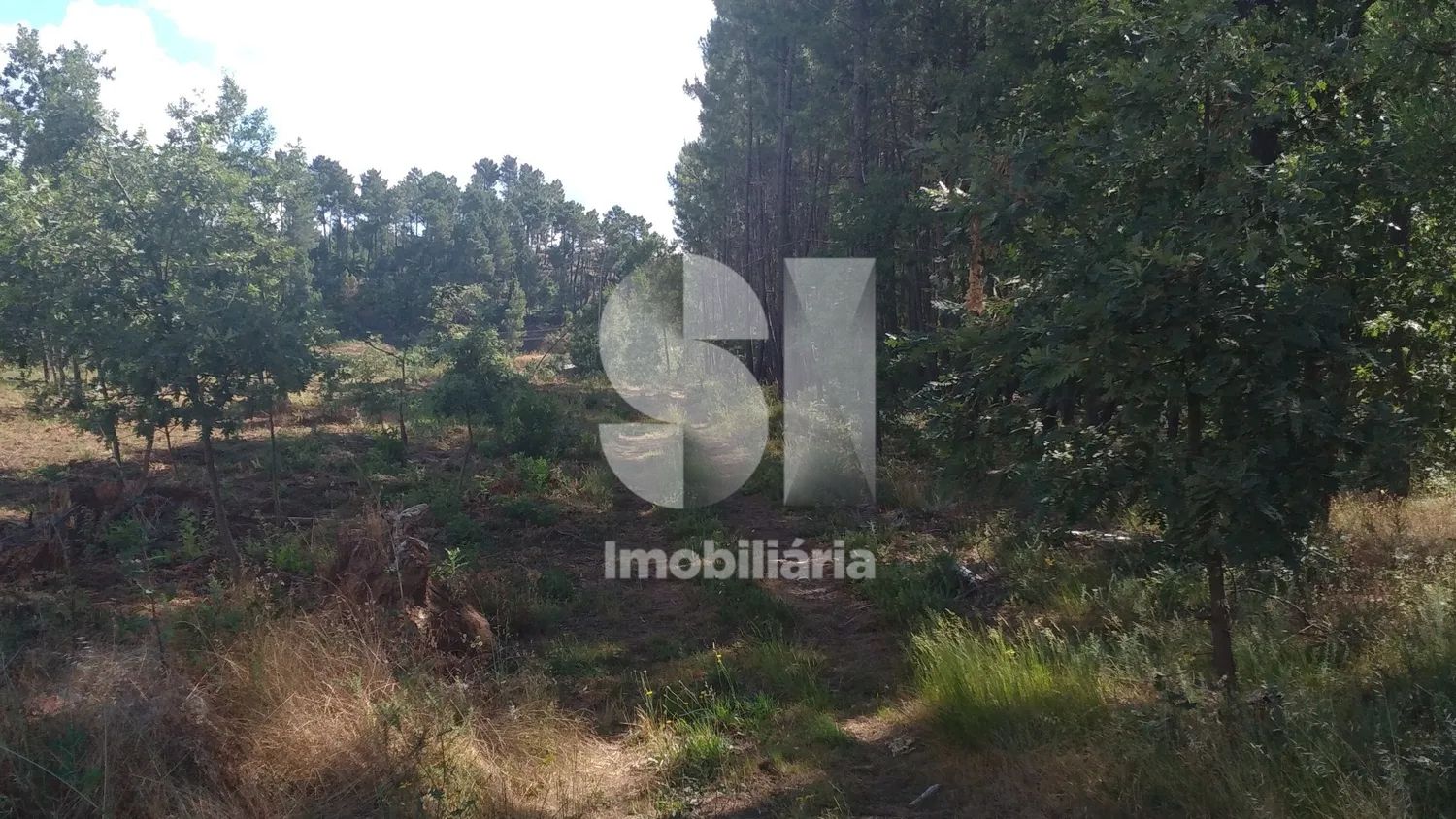 Lote para venda - 2
