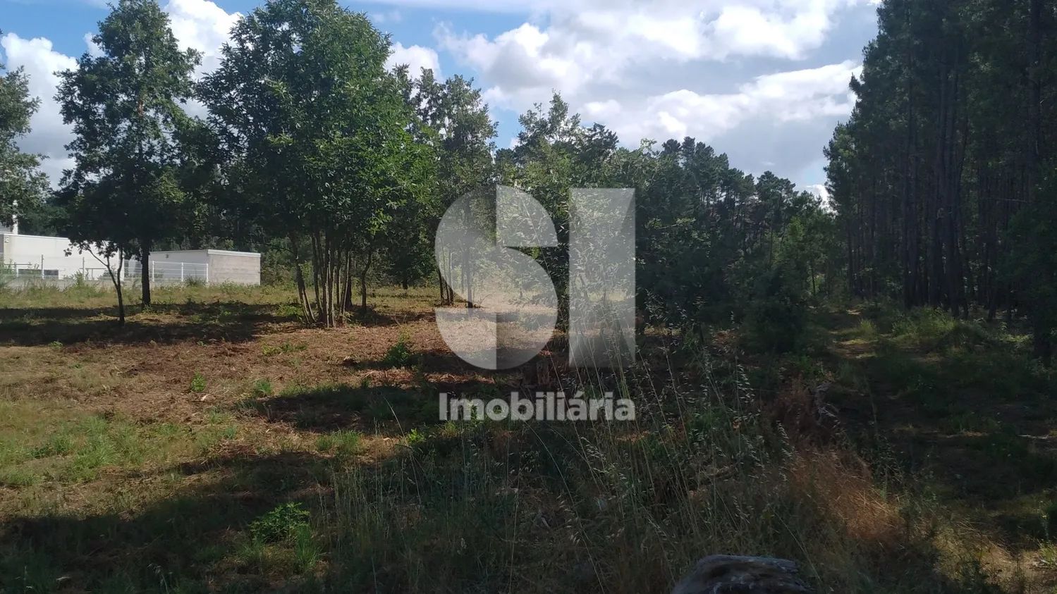 Lote para venda - 3