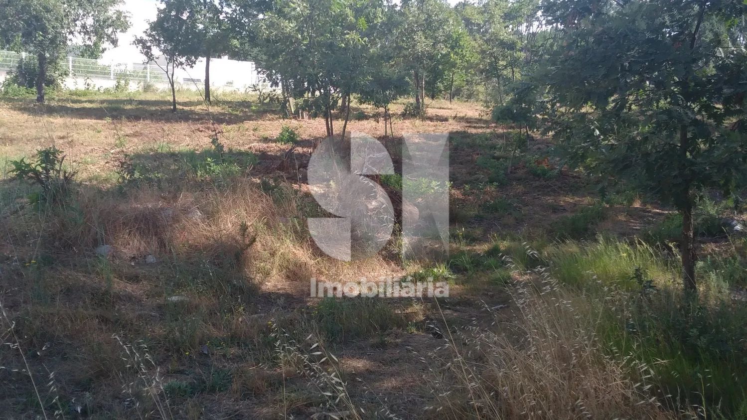 lote de terreno em Constantim