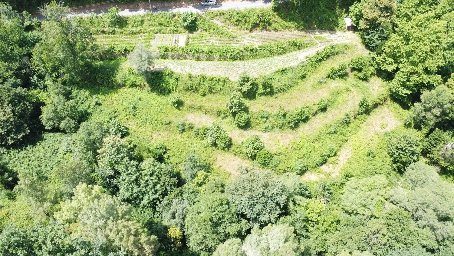 Agricultural land measuring 5,695 m² in Chorense – Terras de Bouro
