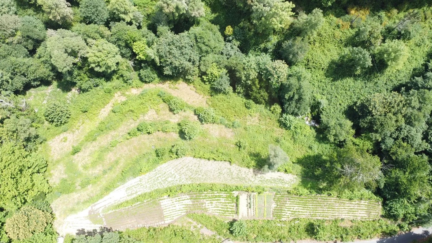 Agricultural land measuring 5,695 m² in Chorense – Terras de Bouro - 2