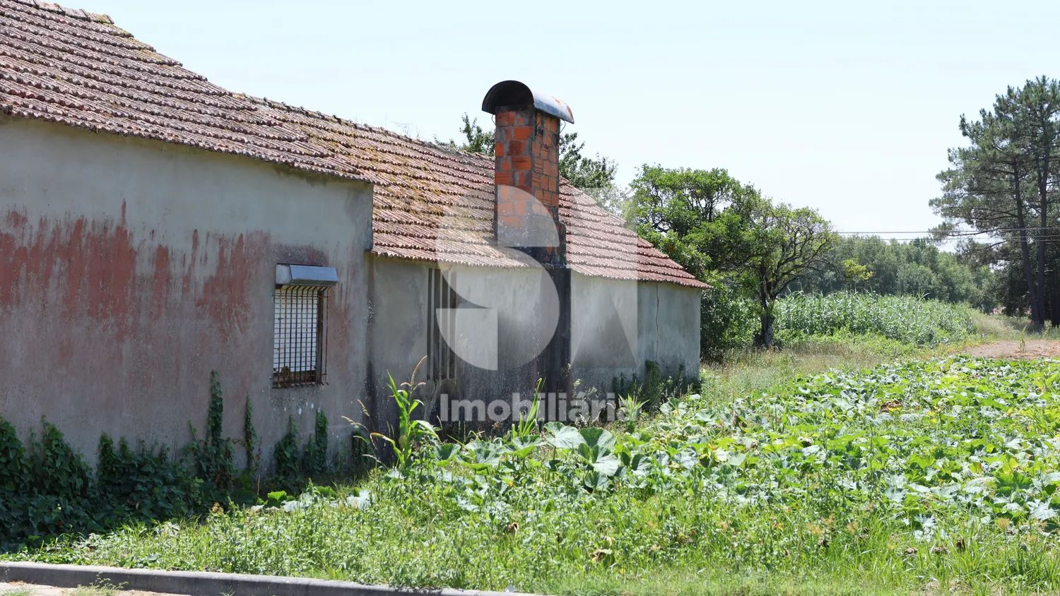Moradia para recuperar em lote de 1.800 m2 - 2