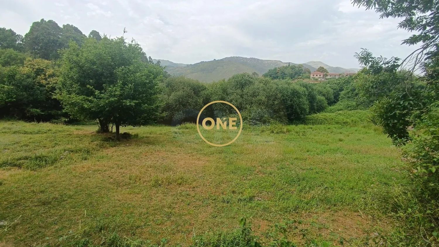Terrenos em Carvalheira