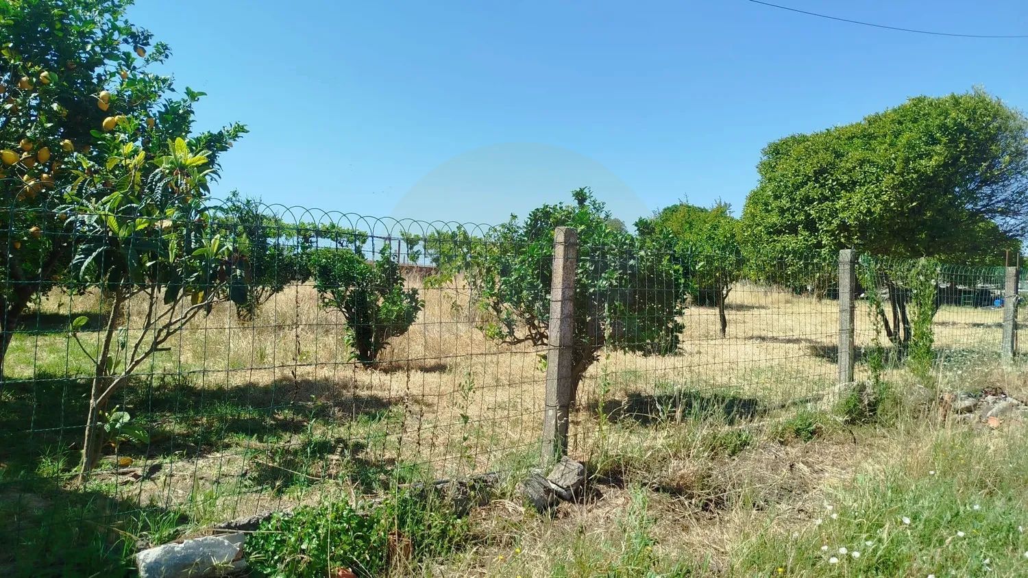 Terreno urbano para construção na Moita