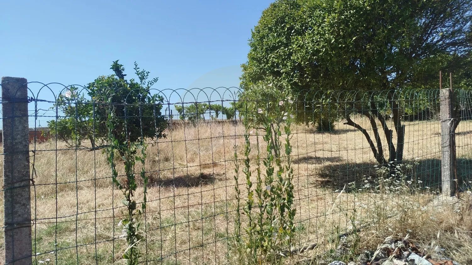 Terreno urbano para construção na Moita - 2