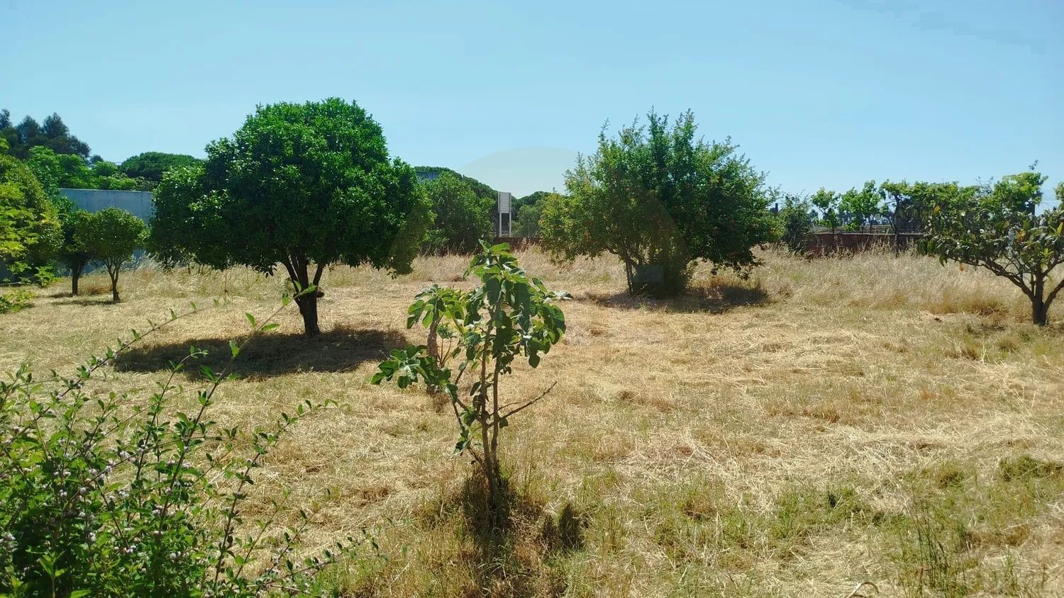 Terreno urbano para construção na Moita - 3