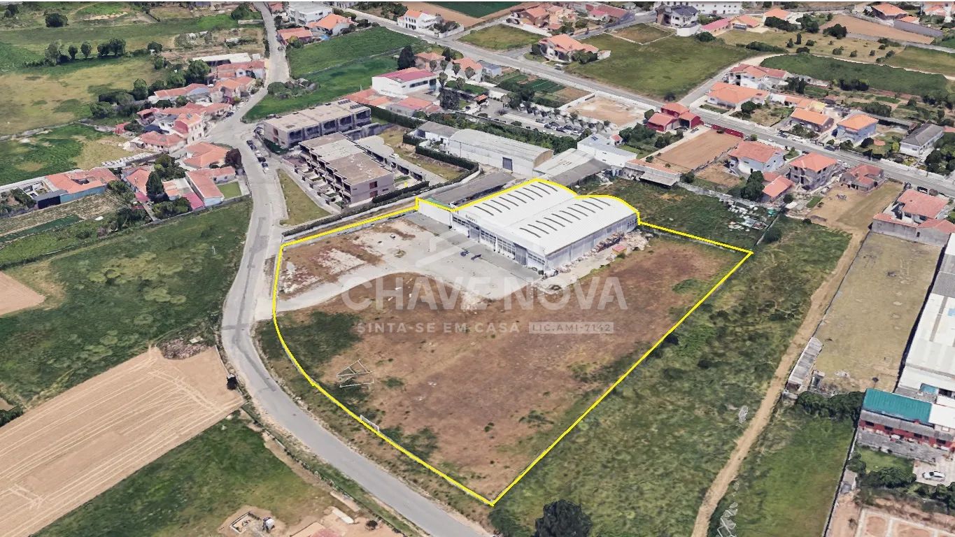 Terreno para construção com 11 000m2 - Espinho