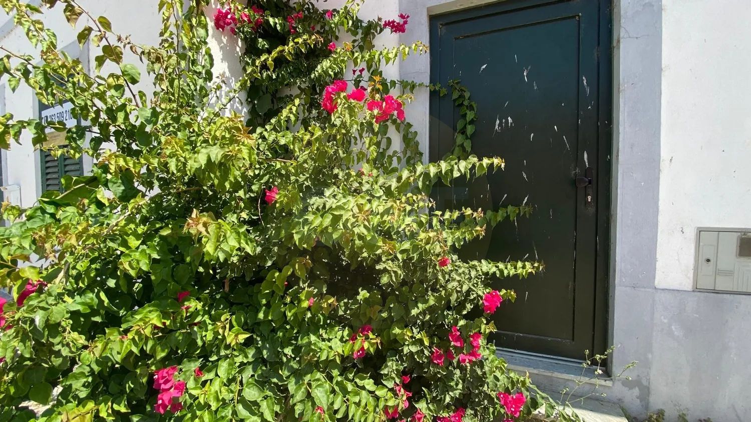 Excellent 5-bedroom villa in Salvaterra de Magos - 3
