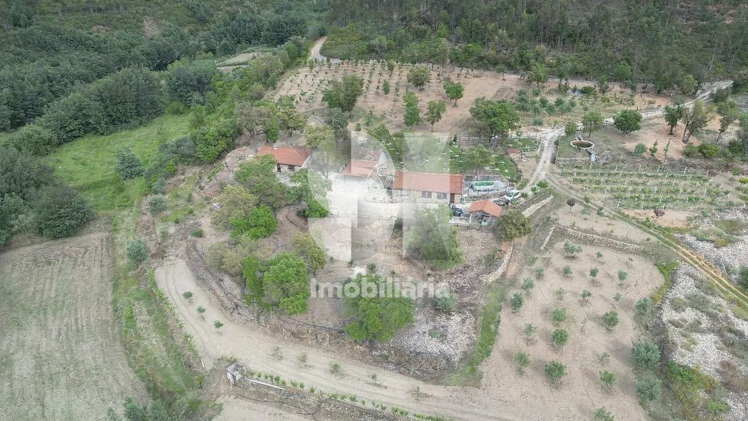 Quinta em Vila nova de poiares - 3