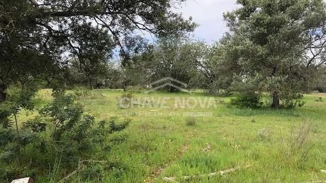Terreno para Construção em Tavira - 2