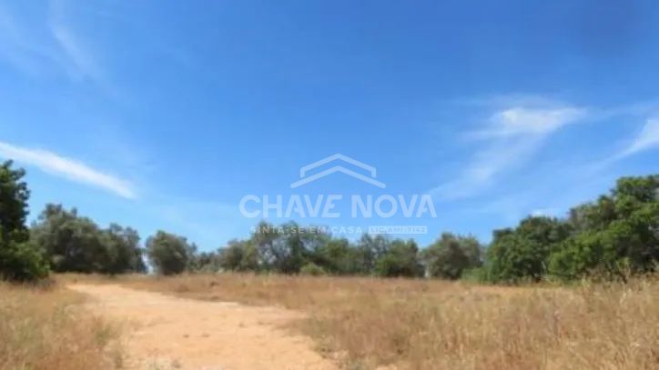 Terreno para Construção em Tavira - 3