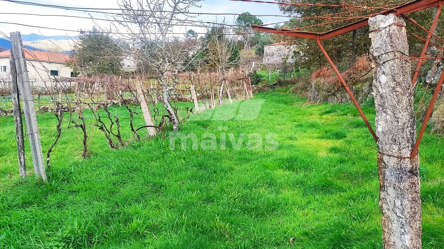 Terreno Urbanizável / para Construção em Cabana Maior com Vistas de Montanha – Arcos de Valdevez - 2