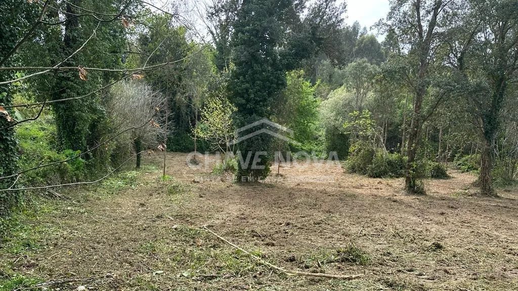 Moradia para Restauro em Anta – Espinho