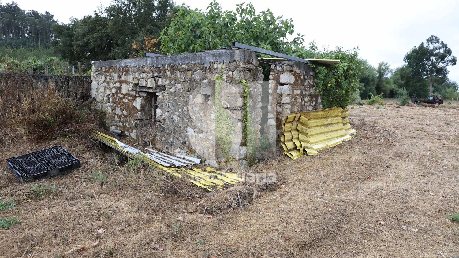 Quinta com aproximadamente 15000 m2 e moinho no coração da Bairrada